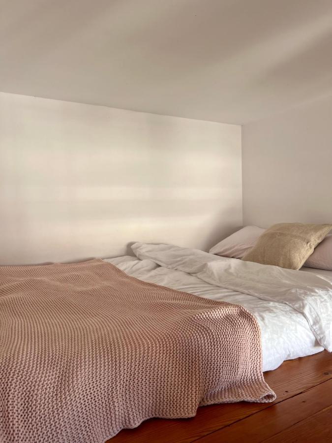 Chic Apartment In The Center Of Cracow Krasków Εξωτερικό φωτογραφία